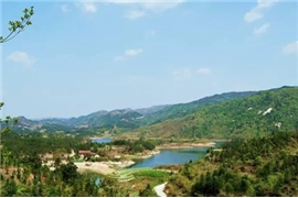 Forestry